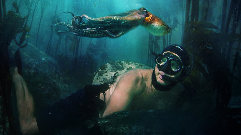 Watch My Octopus Teacher | Netflix Official Site