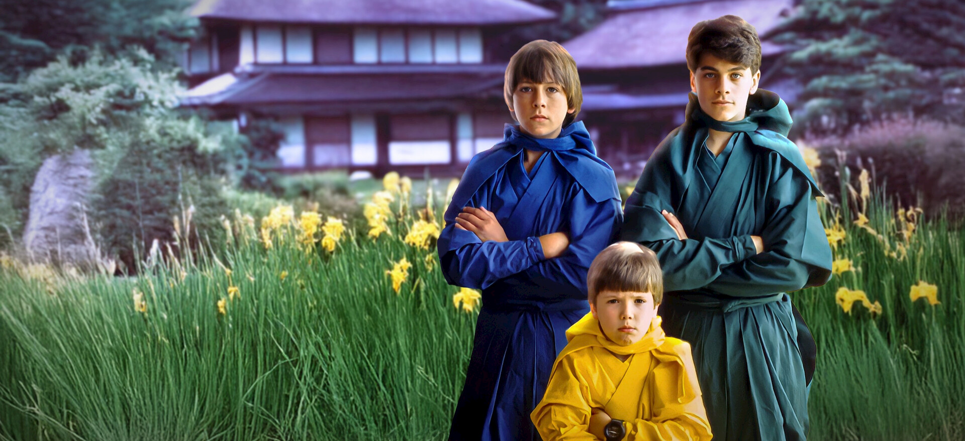 Watch 3 Ninjas: Kick Back | Netflix