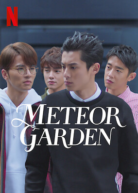 Meteor Garden